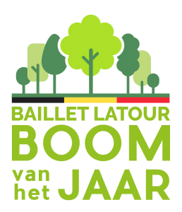 Boom van het jaar: “stemmen op bomen met een verhaal”