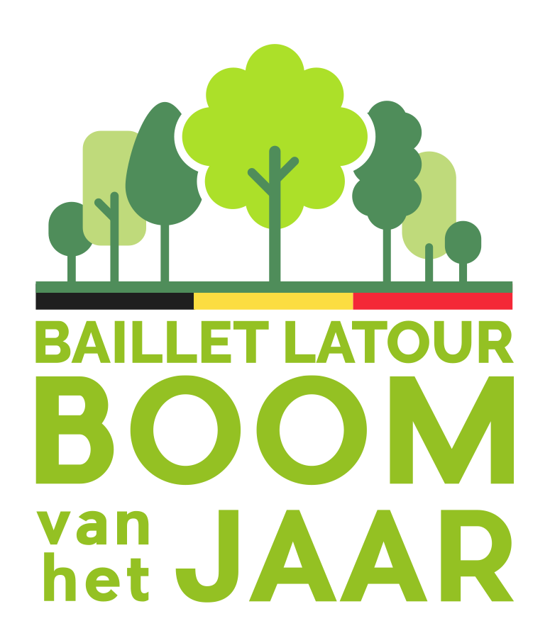 Boom van het jaar: “stemmen op bomen met een verhaal”