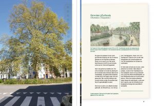 Bomenboek in Gent