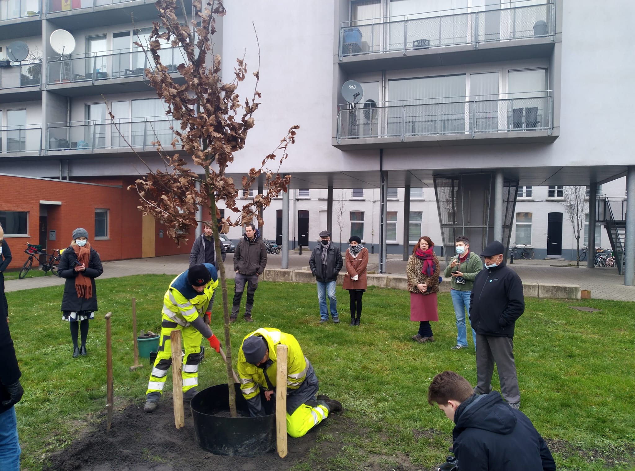 Eerste toekomstboom geplant in Gent