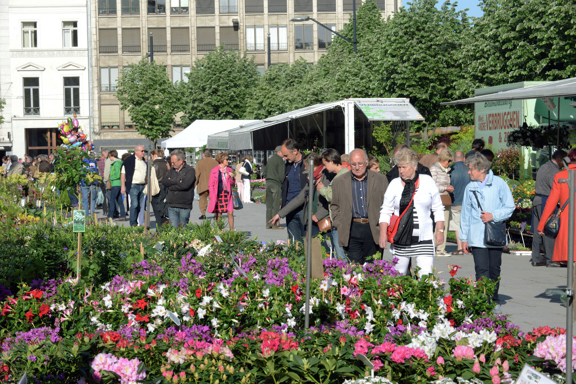 Poëziewedstrijd Gentse bloemenmarkt